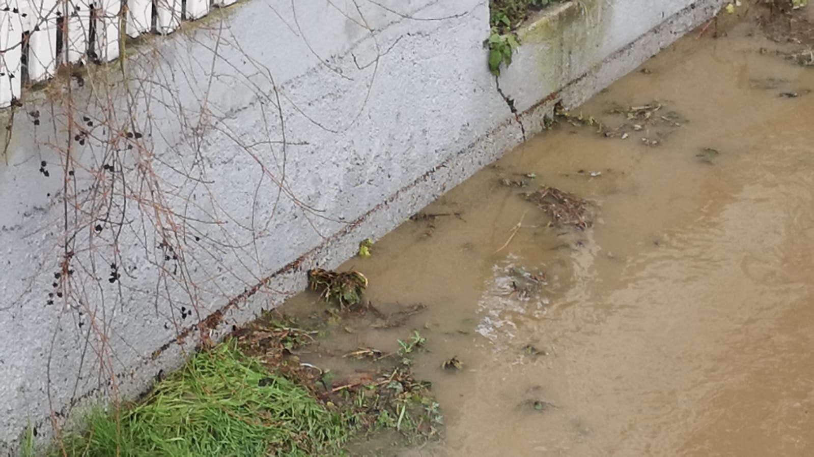 2021-01-29_Hochwasser_2