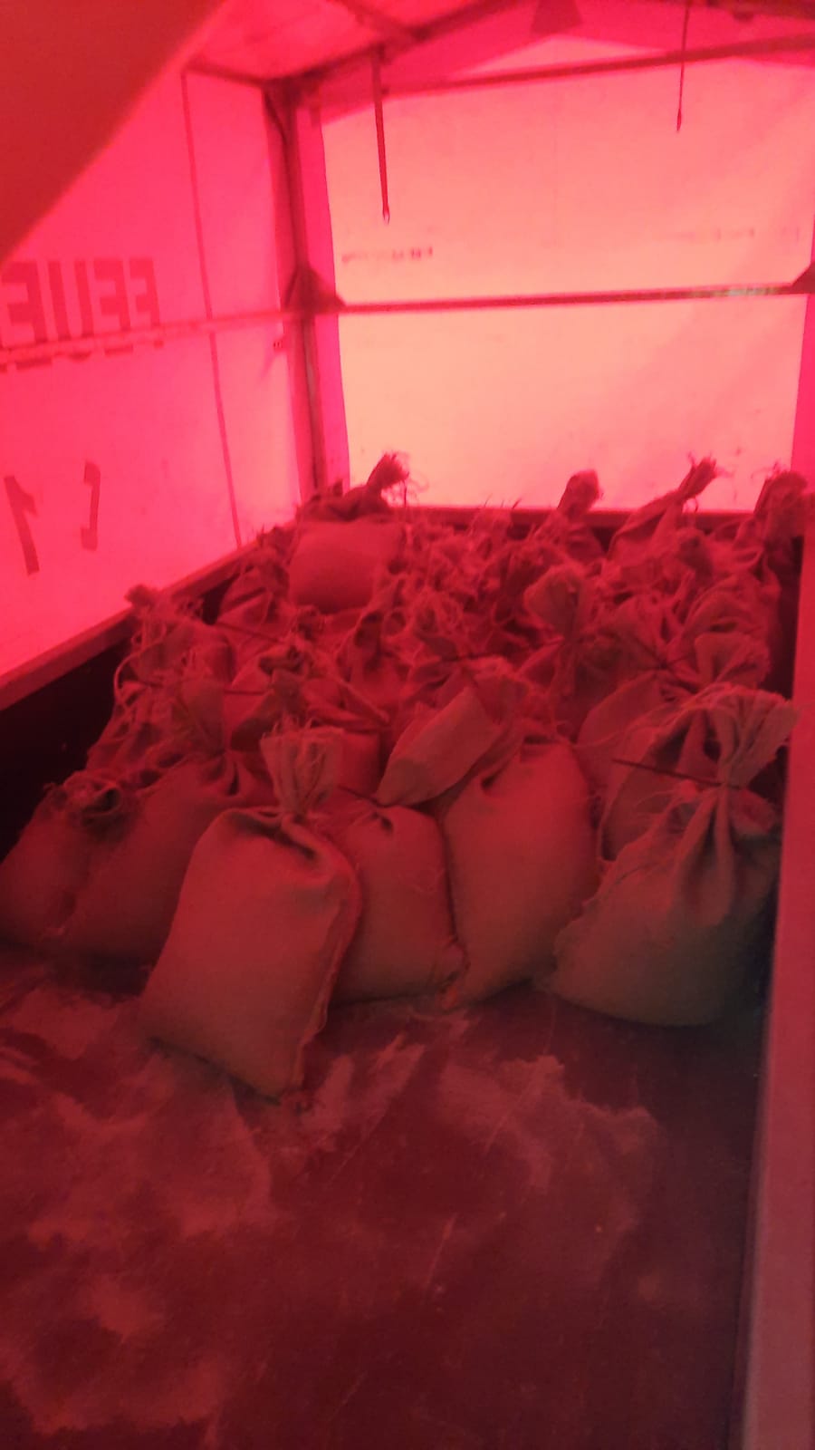 2021-01-29_Hochwasser_4